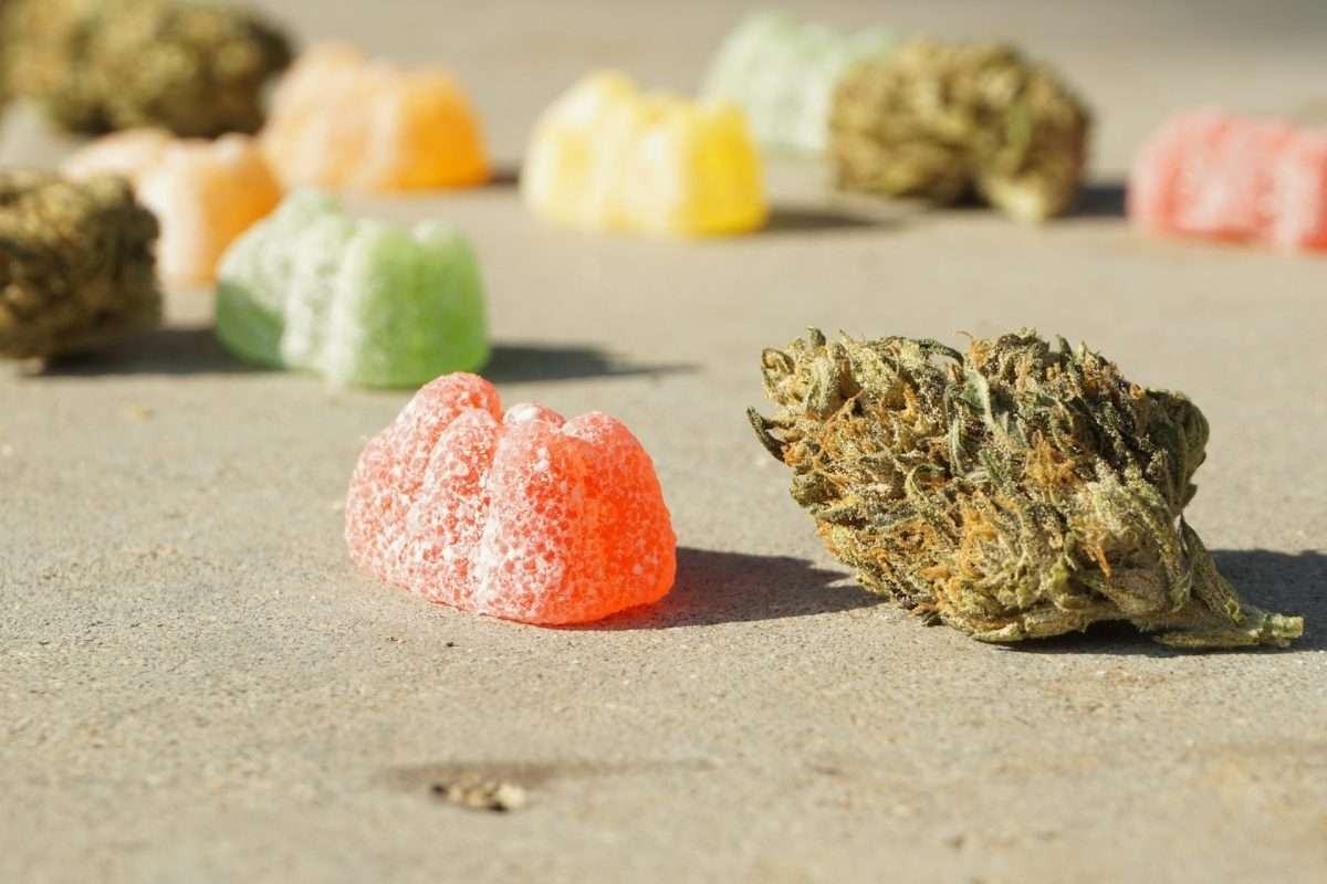 hemp gummies vs cbd gummies