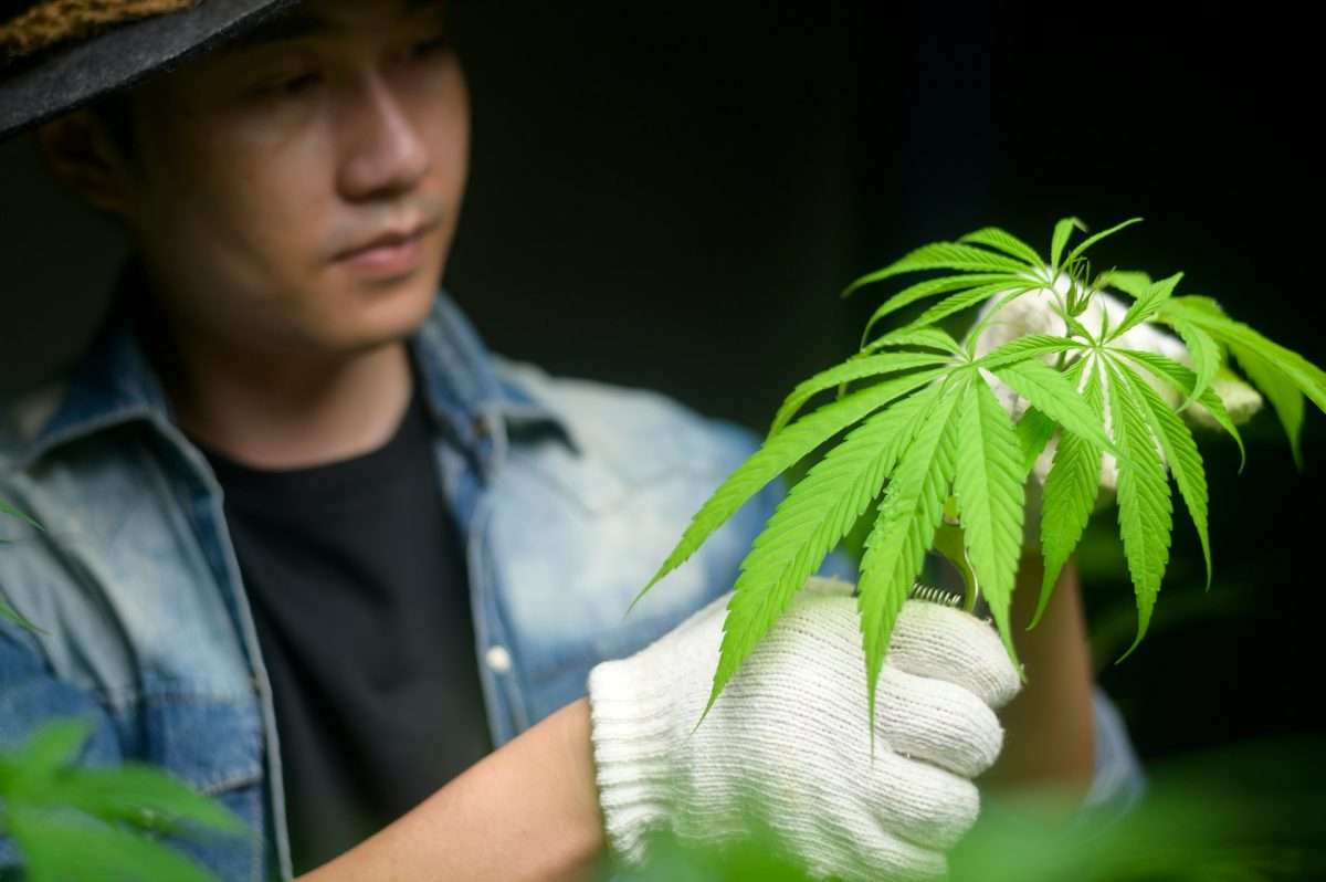 how old do you have to be to buy cbd