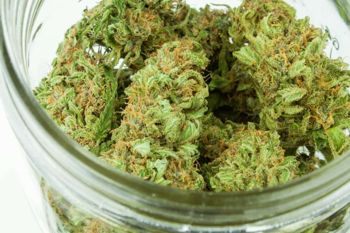 cbda vs cbd